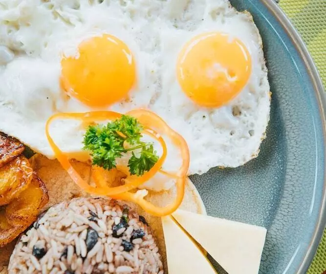 Hotel Ficus Sunset Suites