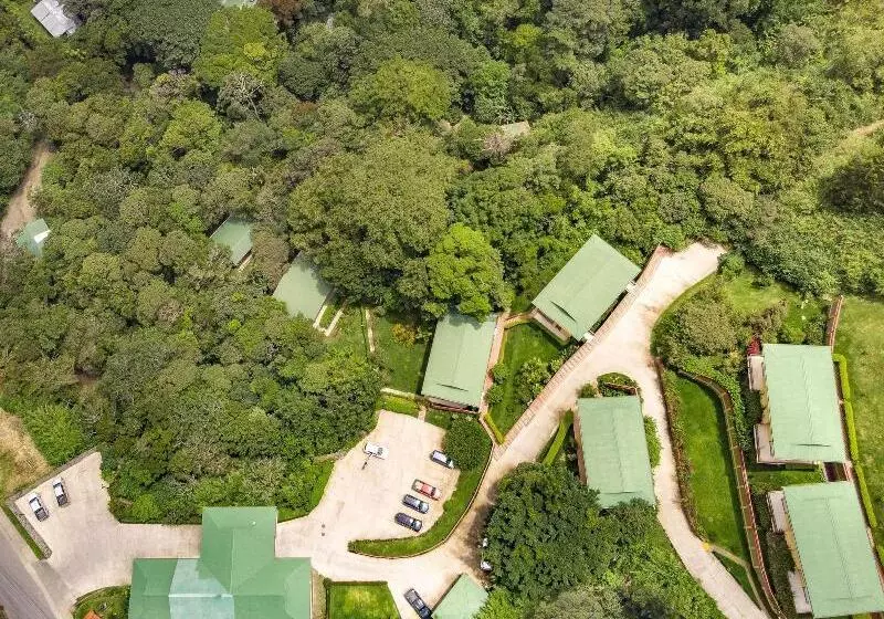 Hotel Ficus Sunset Suites