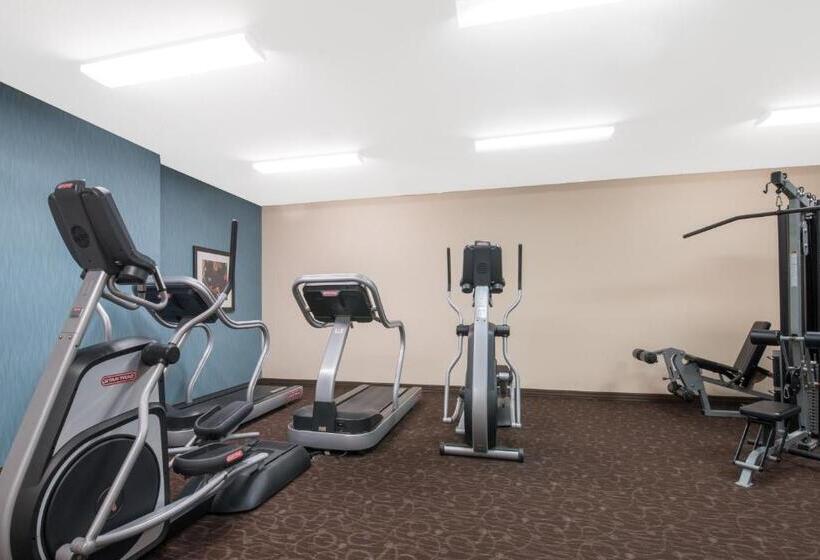 فندق Hawthorn Suites By Wyndham Williston