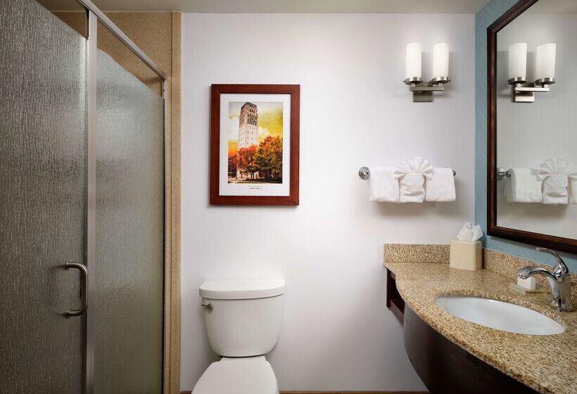 فندق Hilton Garden Inn Ann Arbor