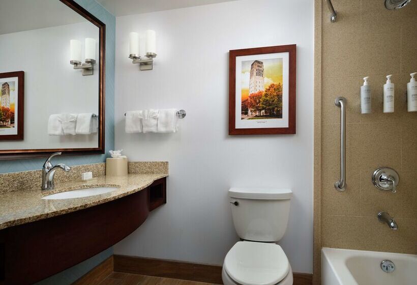 فندق Hilton Garden Inn Ann Arbor