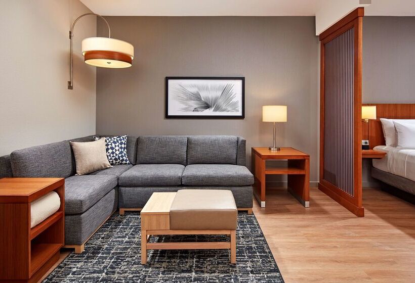 Otel Hyatt Place Los Angeles / Lax / El Segundo