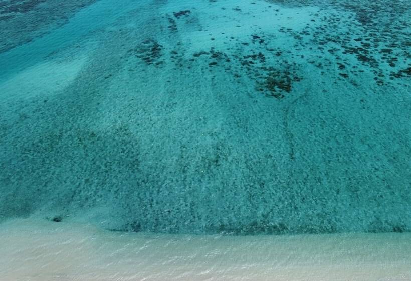 فندق Minshuku Robinson