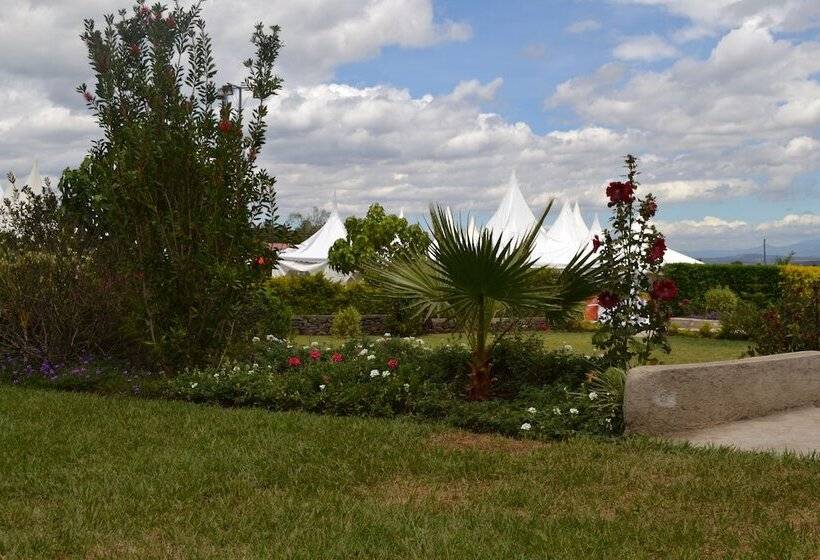 هتل Royal Green Gardens Resort