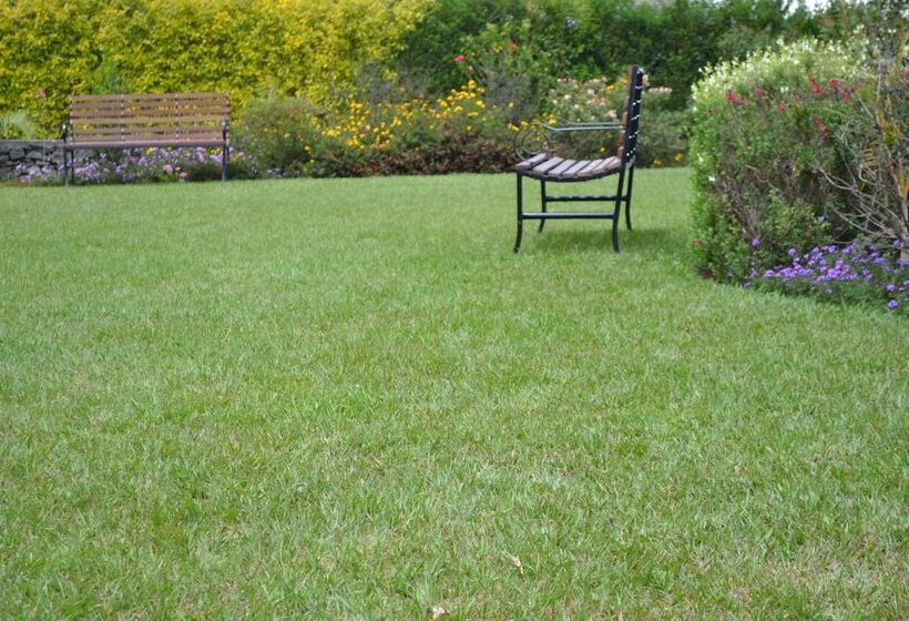 هتل Royal Green Gardens Resort