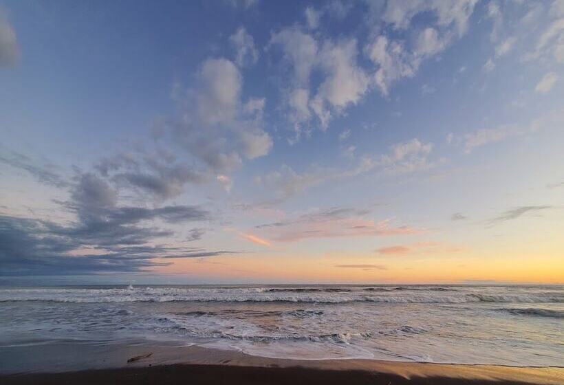 Cocomar Beachfront Hotel And Island Resort