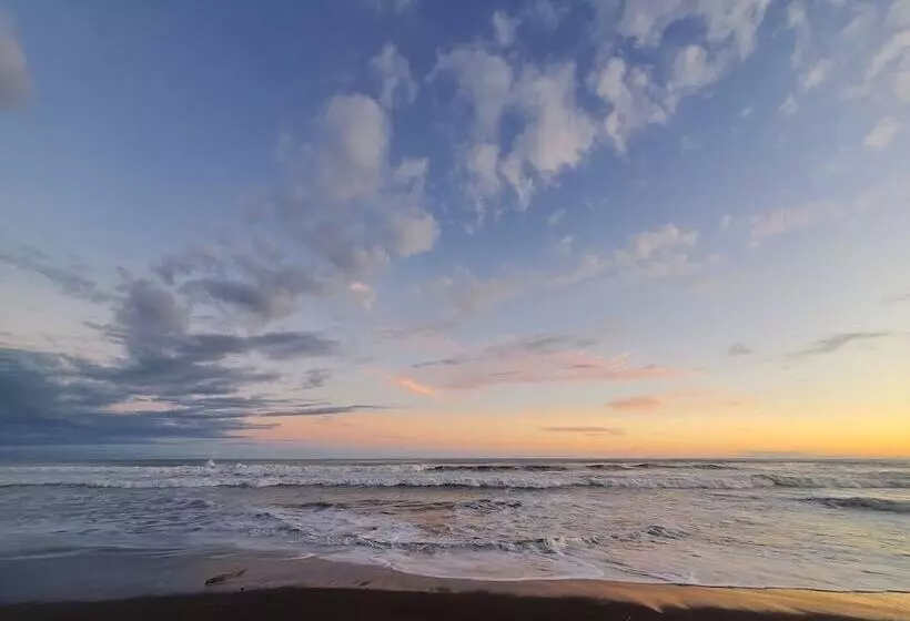 Cocomar Beachfront Hotel And Island Resort