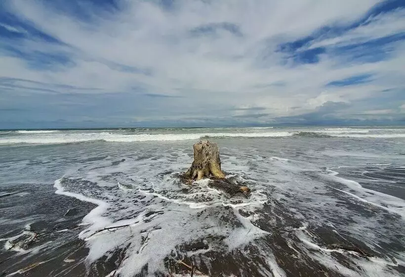 Cocomar Beachfront Hotel And Island Resort