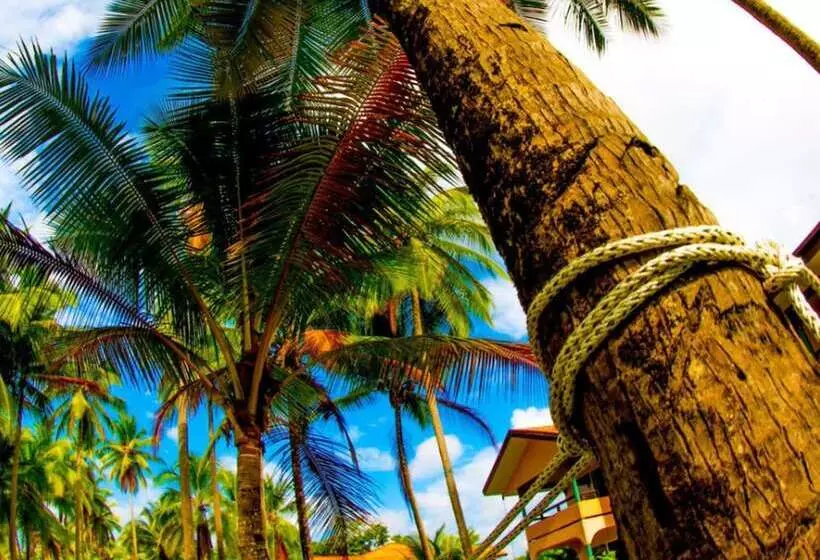 Cocomar Beachfront Hotel And Island Resort