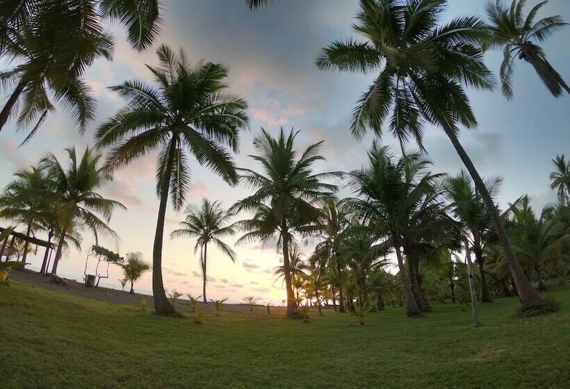 Cocomar Beachfront Hotel And Island Resort