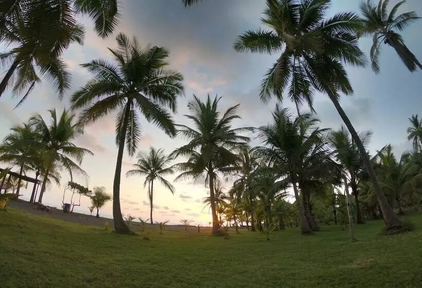 Cocomar Beachfront Hotel And Island Resort
