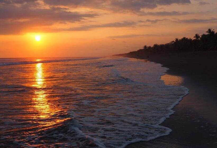 Cocomar Beachfront Hotel And Island Resort