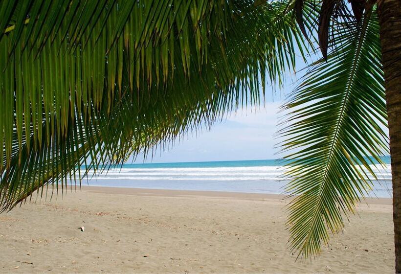 Cocomar Beachfront Hotel And Island Resort