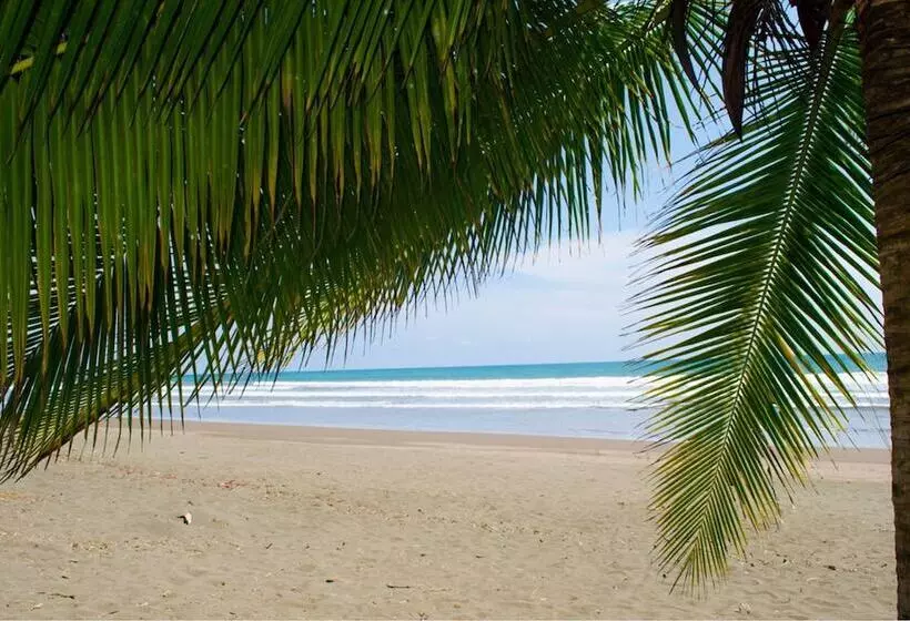 Cocomar Beachfront Hotel And Island Resort