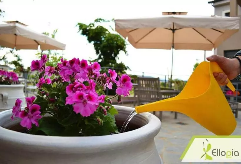 هتل Ellopia Point