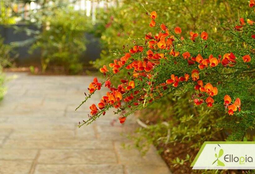 호텔 Ellopia Point