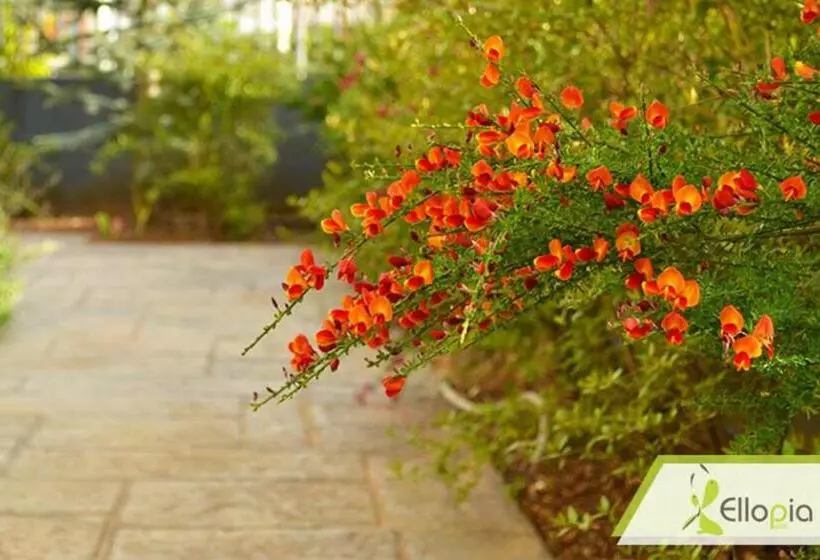 هتل Ellopia Point