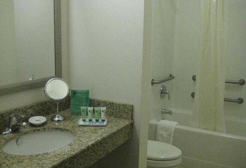 Hotel Horizon Inn & Suites