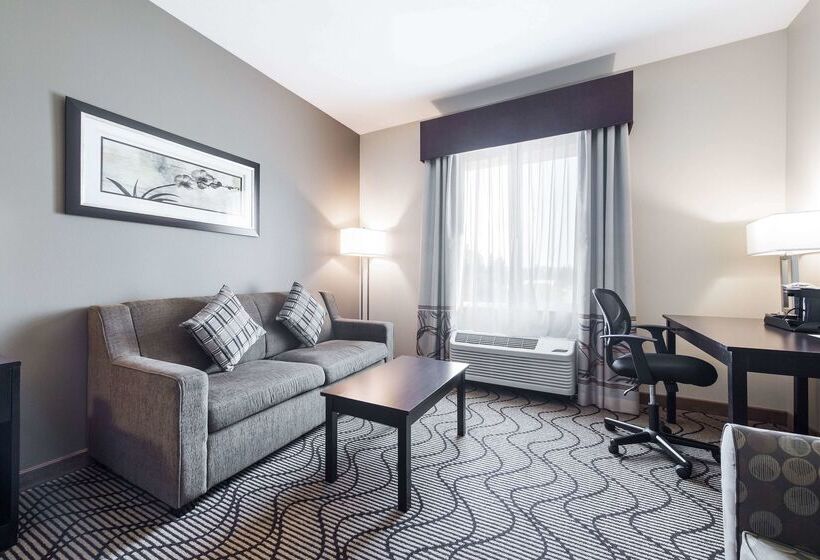 酒店 La Quinta By Wyndham Auburn