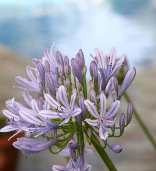 هتل Proimos Maisonnettes