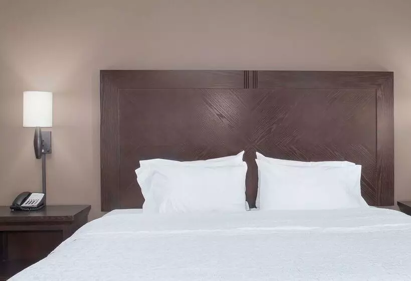 Hampton Inn & Suites I35/mulvane