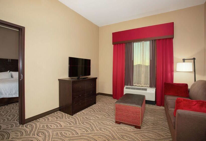 Hampton Inn & Suites I35/mulvane