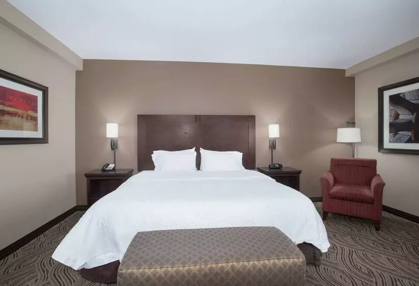 Hampton Inn & Suites I35/mulvane