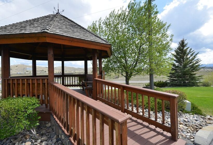 Отель Rocker Inn