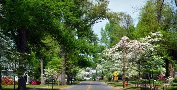 בית מלון כפרי Charleston Eagle Inn