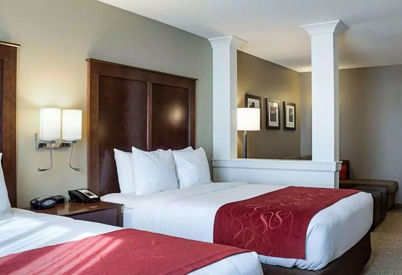 هتل Comfort Suites Medical Center