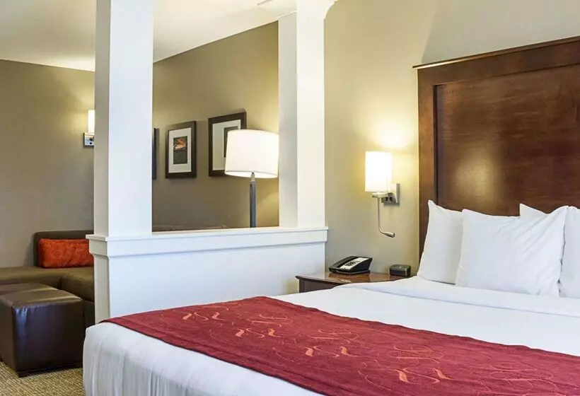 هتل Comfort Suites Medical Center