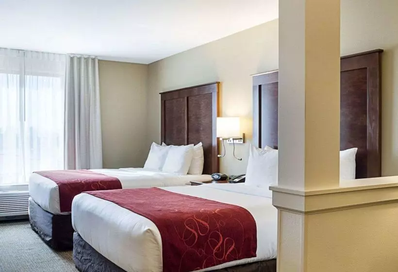 هتل Comfort Suites Medical Center