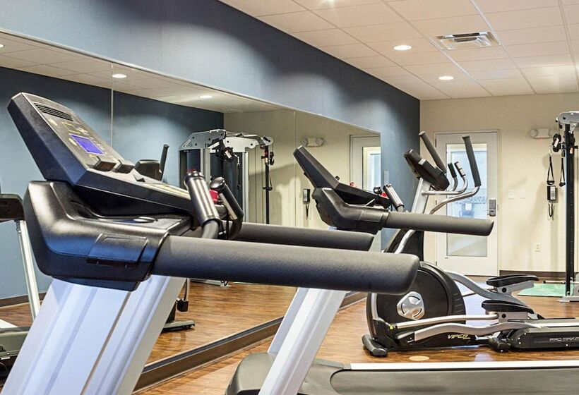 فندق Comfort Suites