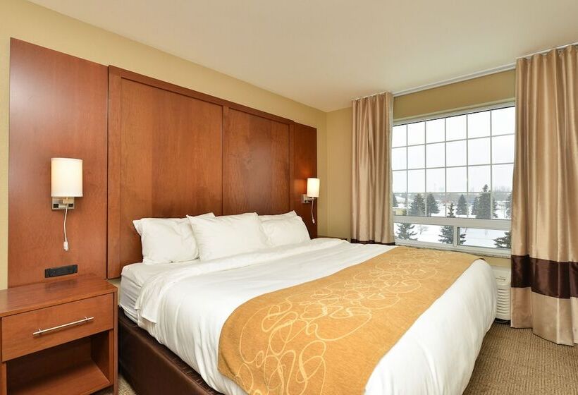 فندق Comfort Suites