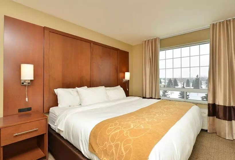 Отель Comfort Suites