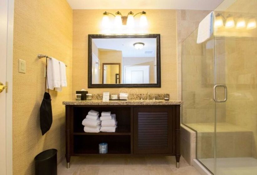 فندق Embassy Suites By Hilton Savannah Historic District