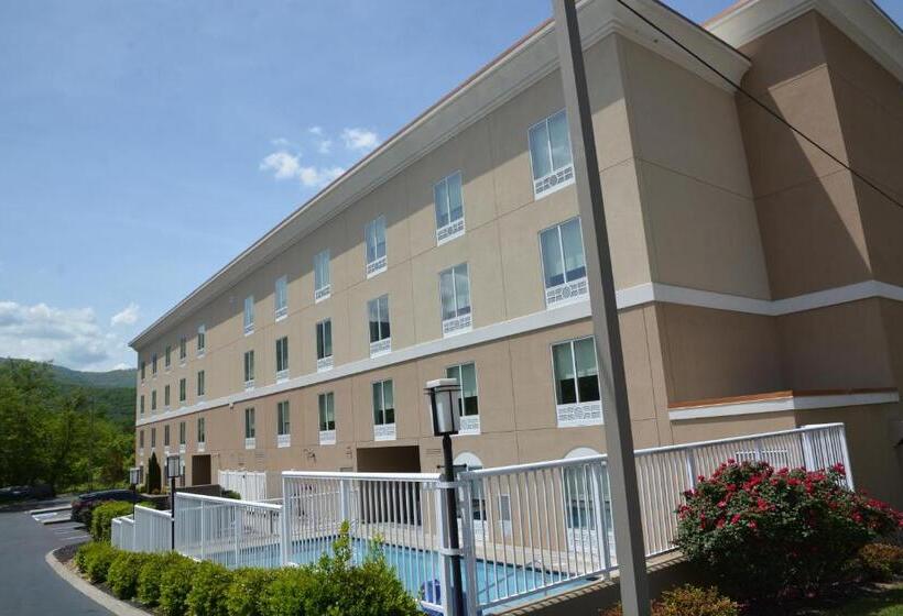 酒店 Holiday Inn Express & Suites Caryville, An Ihg