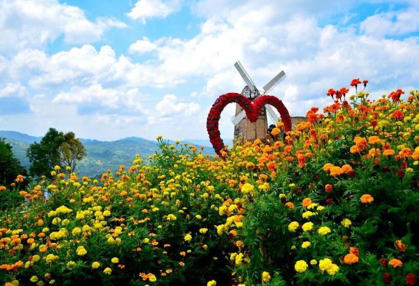 The Henry Hotel Cebu   Multi Use