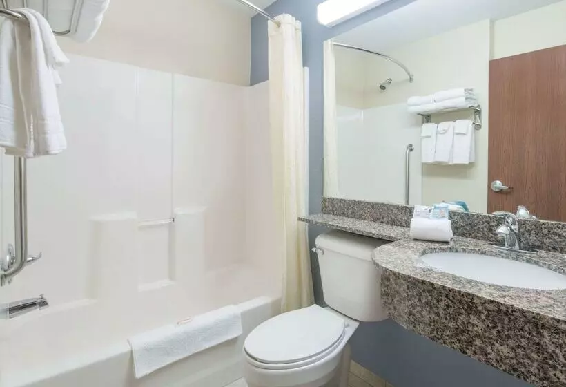 Microtel Inn & Suites By Wyndham Stanley