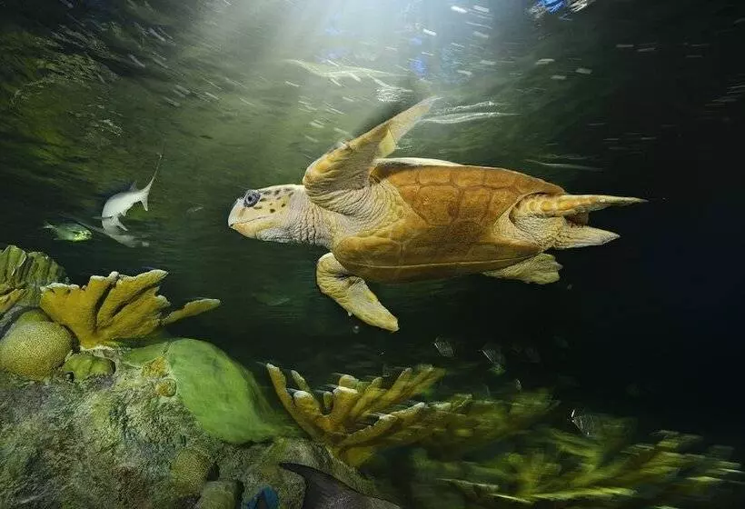 Residence Inn By Marriott Boston Downtown Seaport