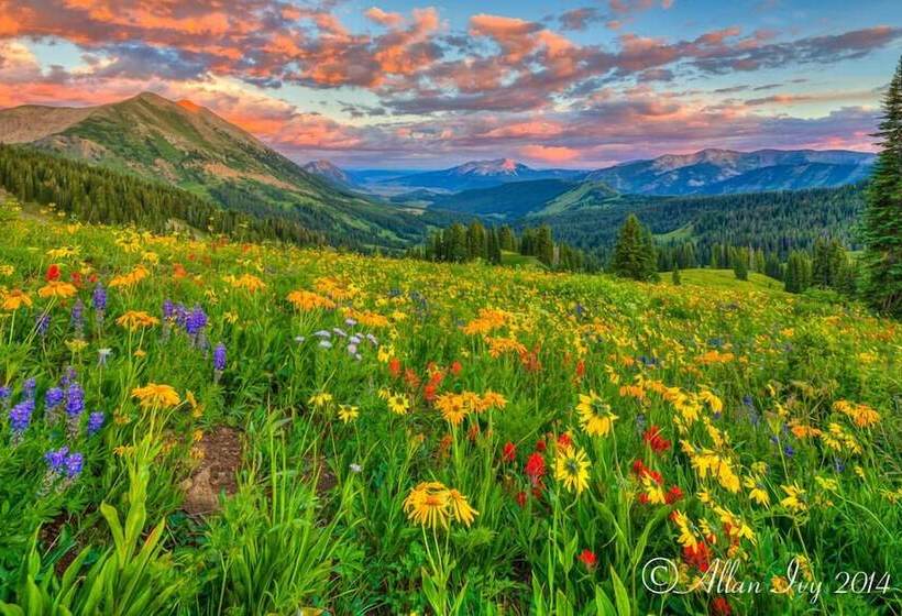 호텔 Alpine Inn & Suites Gunnison