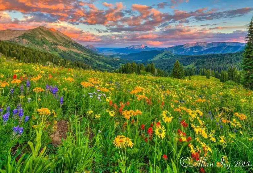 ホテル Alpine Inn & Suites Gunnison