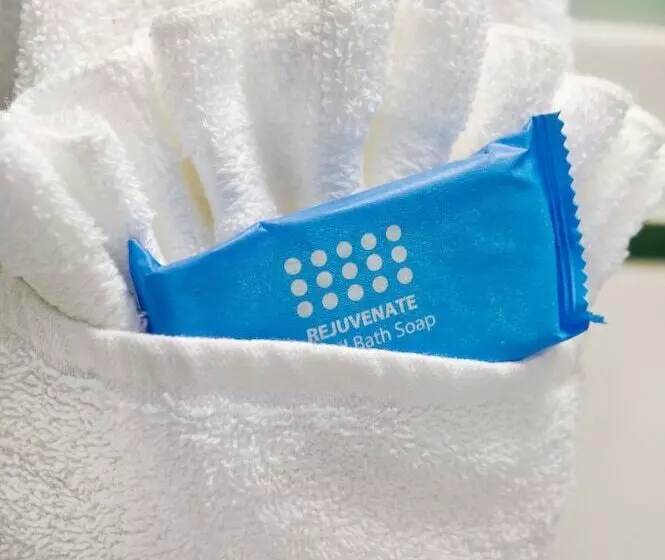 ホテル Bar Harbor Manor