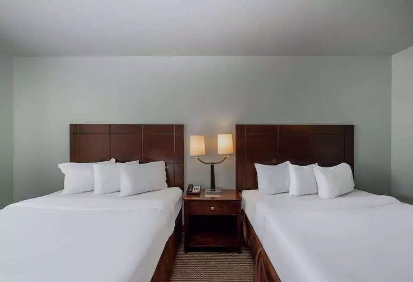 酒店 Baymont By Wyndham Rapid City