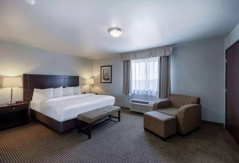 酒店 Baymont By Wyndham Rapid City