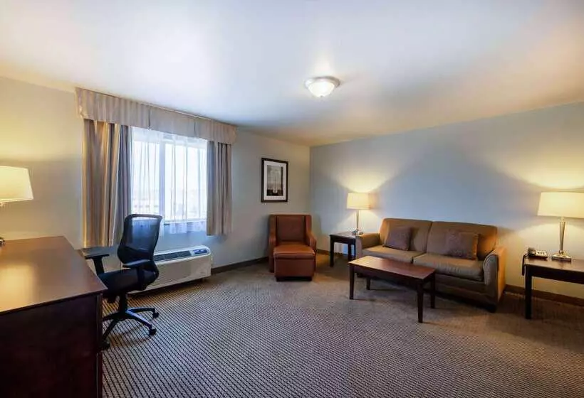 酒店 Baymont By Wyndham Rapid City