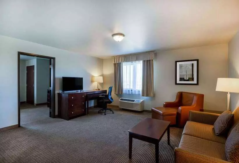 酒店 Baymont By Wyndham Rapid City