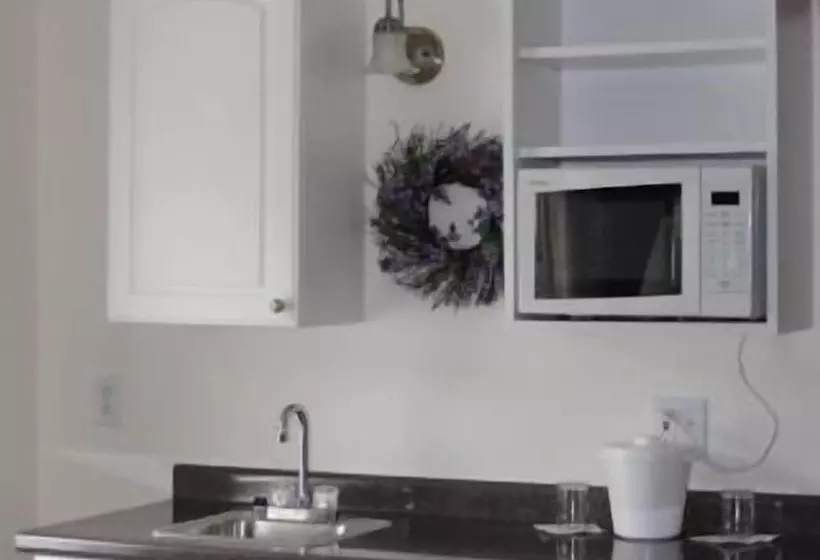 ホテル Black Horse Inn