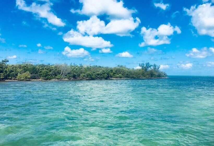 בית מלון כפרי Captain Pip's Marina & Hideaway