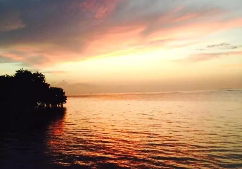 فندق Captain Pip's Marina & Hideaway